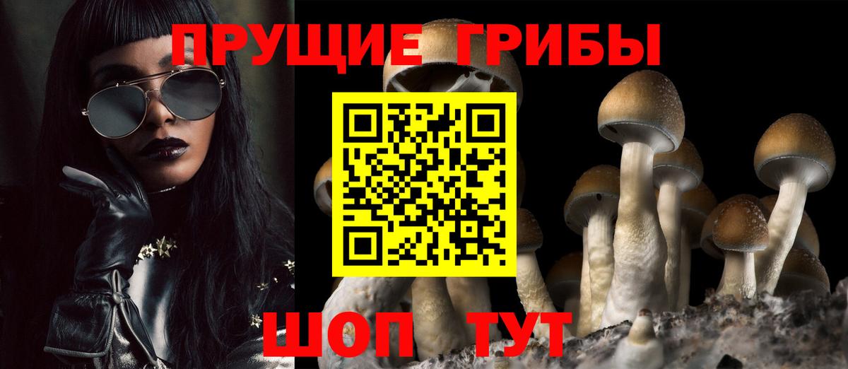 Грязи  Галлюциногенные грибы Psilocybe  как найти   Вход с VPN 